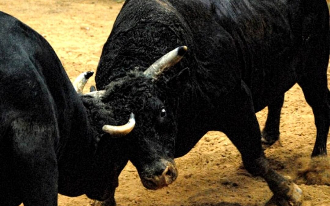 Overcoming the Spirit of Baal