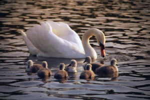 Grace Mercy and Peace to you from God the Father