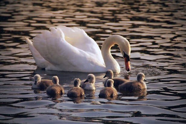 Grace Mercy and Peace to you from God the Father